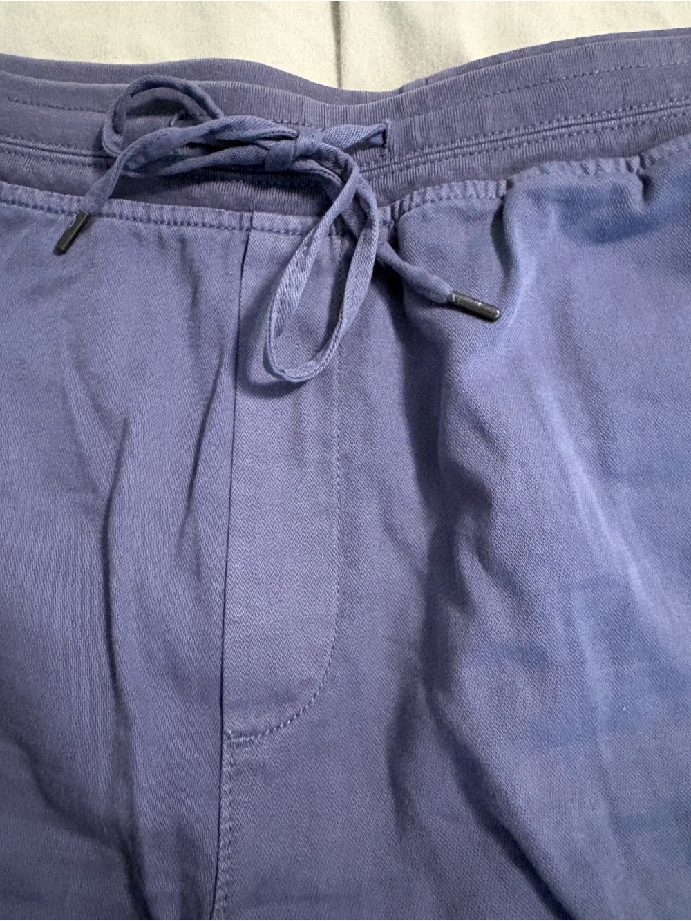 GAP Periwinkle Drawstring Shorts - Picture 2 of 8